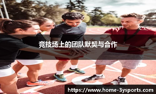 三亿体育官网